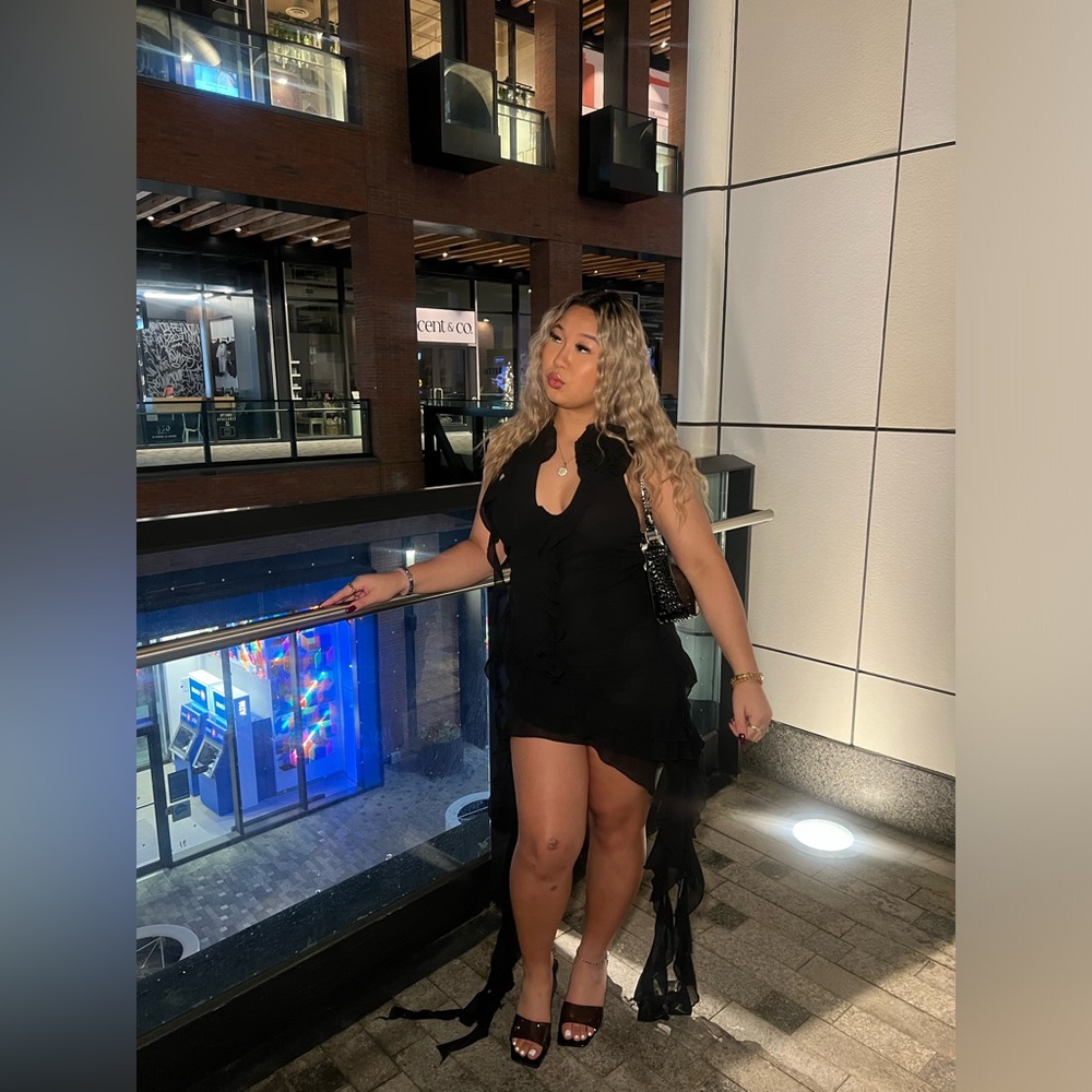 FASHION NOVA — BLACK RUFFLES & ROSES MINI DRESS
💗 preloved & worn a few times - Picture 3 of 4